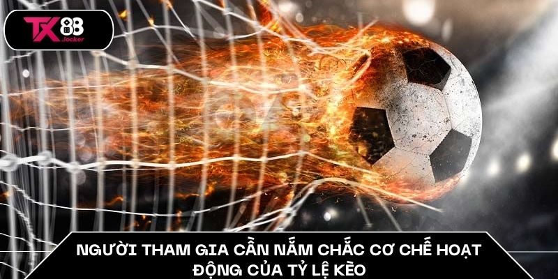 Tỷ Lệ Kèo Nhà Cái TX88 - 5 Cách Chơi Kèo Cực Chuẩn 3 Người tham gia cần nắm chắc cơ chế hoạt động của tỷ lệ kèo